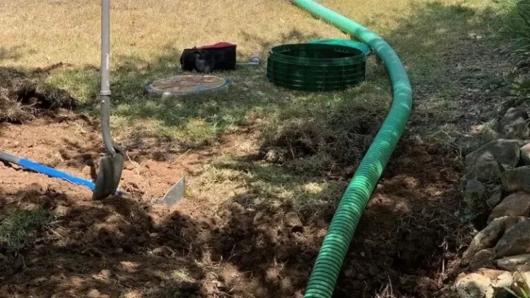 What Causes A Septic System Backup?