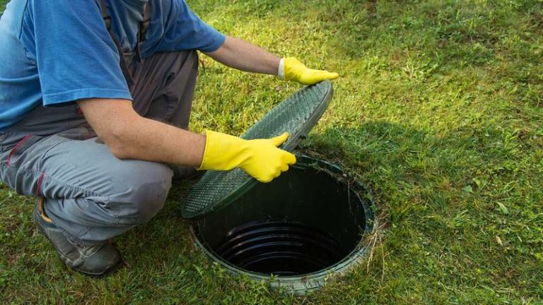 The Role of Bacteria in Your Septic System